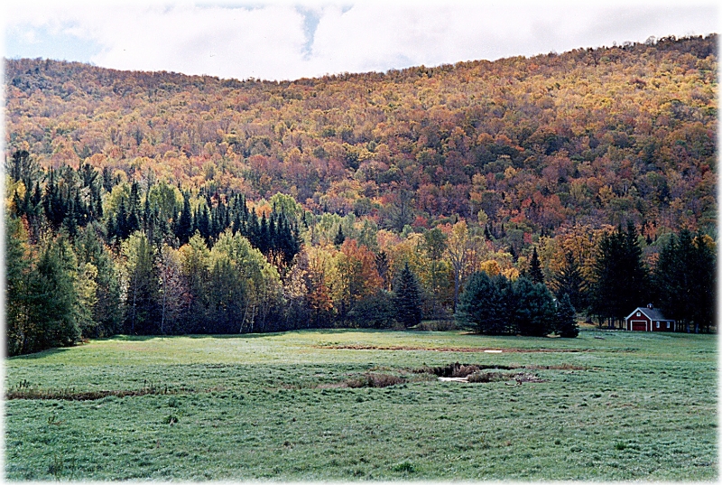 Landscape 2, New England America.jpg